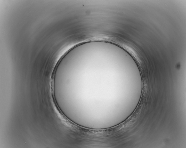 X0000094191047200710260950