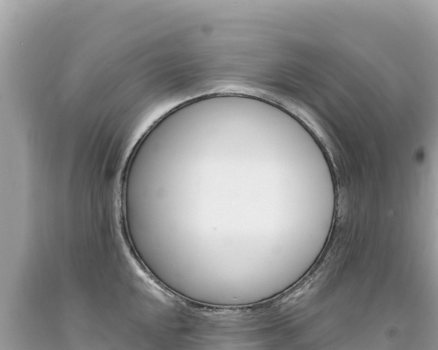 X0000094191048200710260950