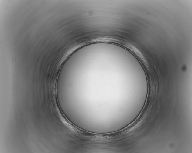 X0000094191049200710260950