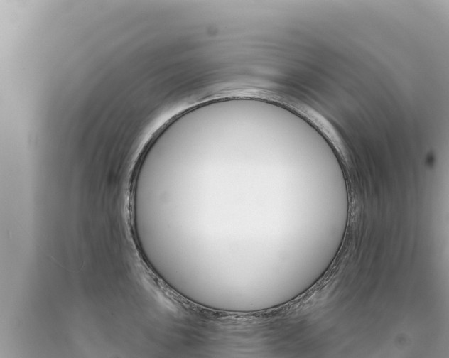 X0000094191051200710260950