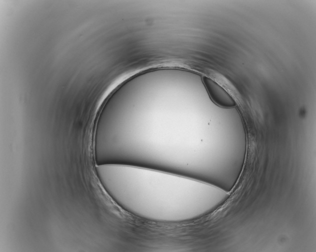 X0000094191052200710260950