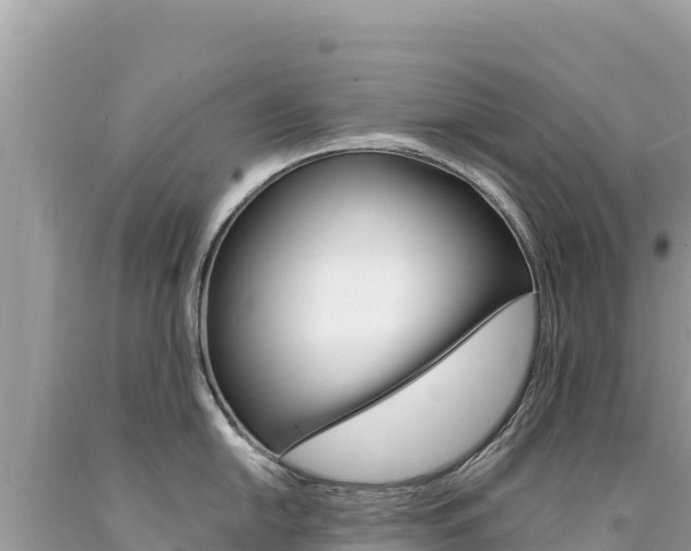 X0000094191054200710260950