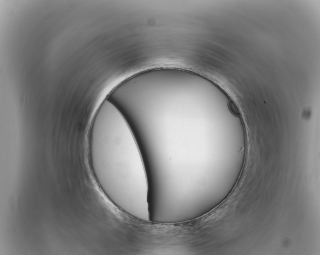 X0000094191056200710260950