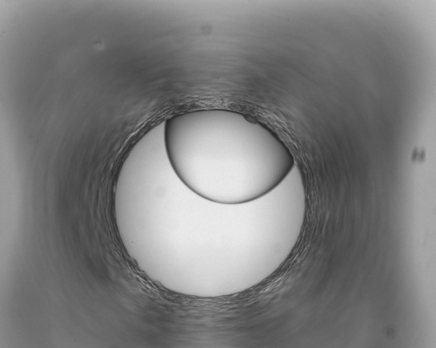 X0000094191057200710260949