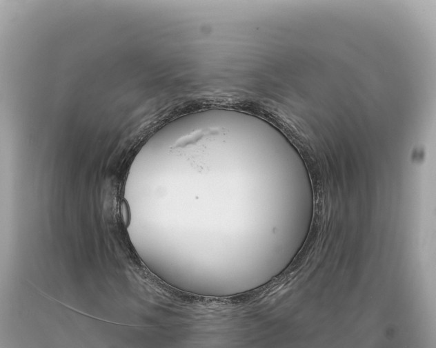 X0000094191058200710260949