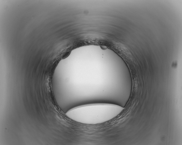 X0000094191060200710260949