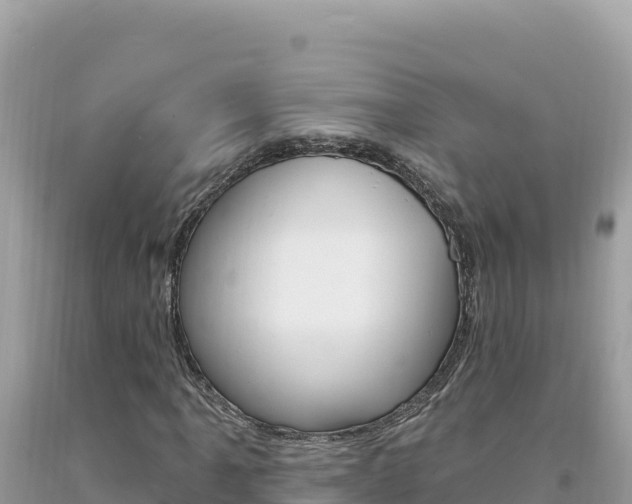 X0000094191061200710260949