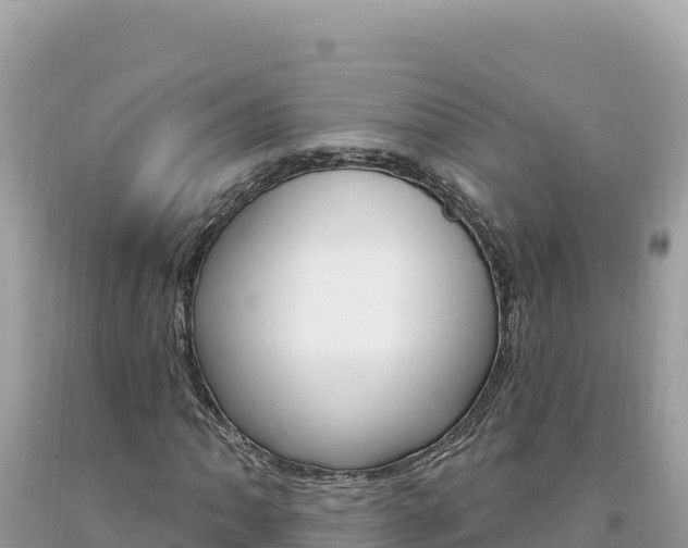 X0000094191062200710260949