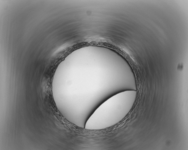 X0000094191063200710260949