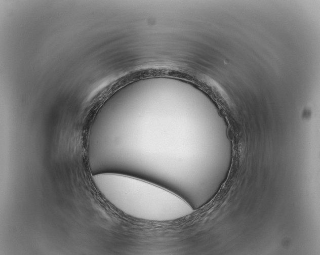 X0000094191064200710260949