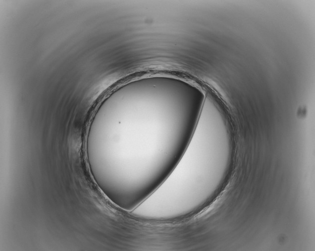 X0000094191065200710260949