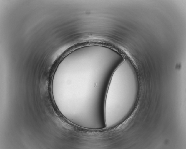X0000094191066200710260949