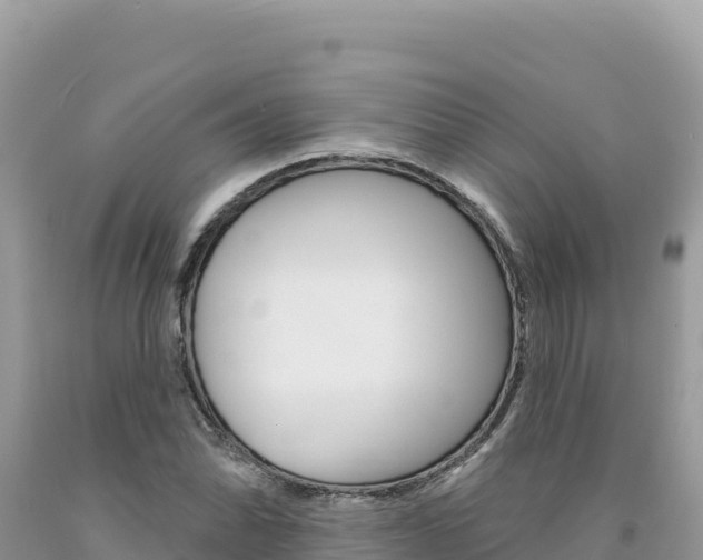 X0000094191070200710260949