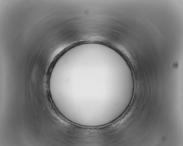 X0000094191071200710260949