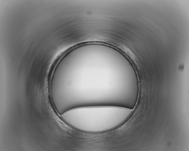 X0000094191072200710260949