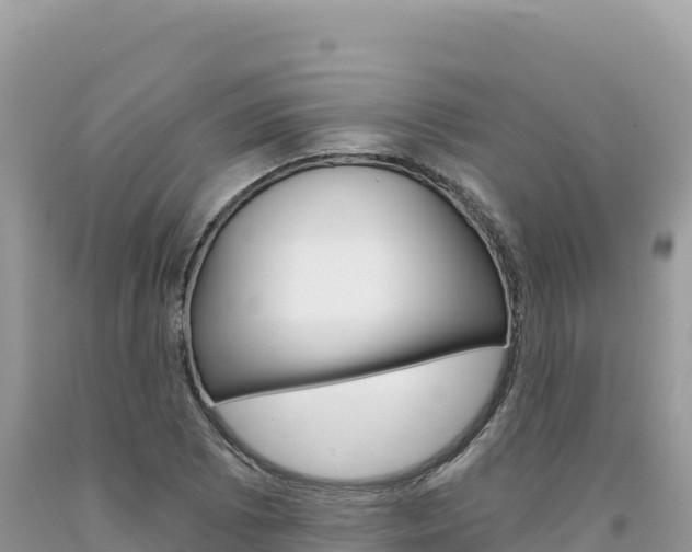 X0000094191073200710260949