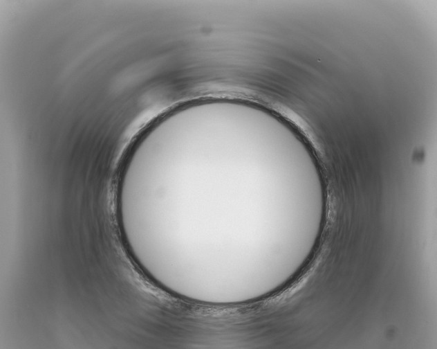 X0000094191074200710260949