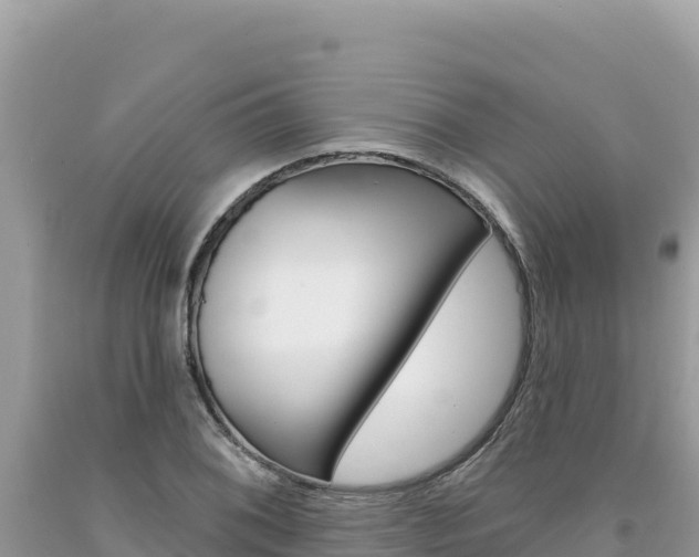 X0000094191076200710260949