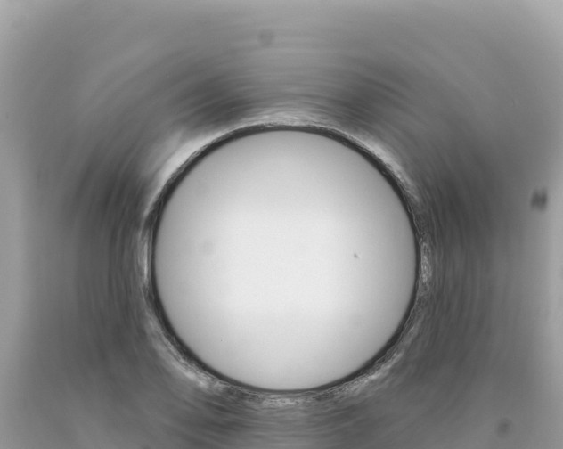 X0000094191078200710260949