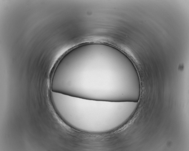 X0000094191079200710260949