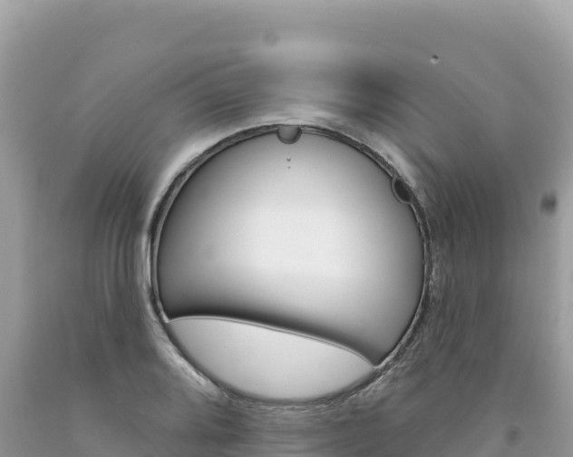 X0000094191080200710260949