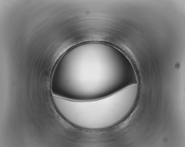 X0000094191081200710260949