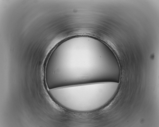 X0000094191082200710260949