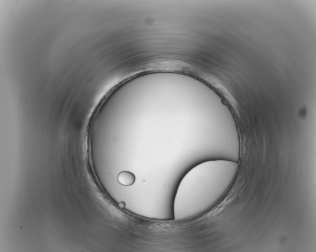 X0000094191083200710260949