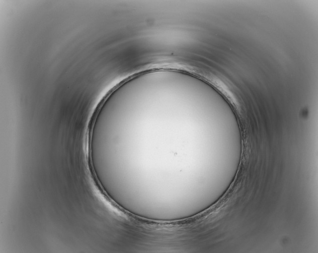 X0000094191084200710260949