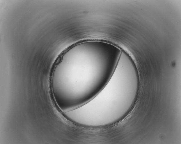 X0000094191085200710260949