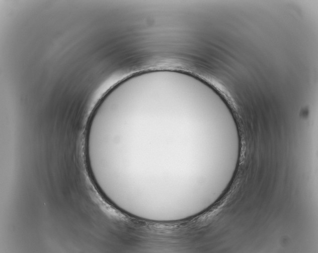 X0000094191086200710260949