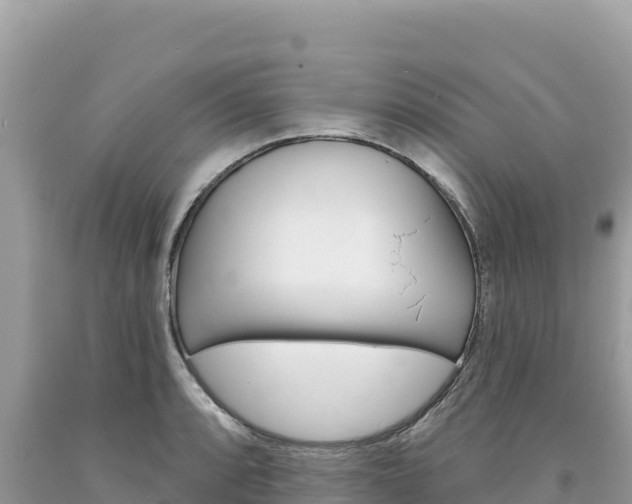 X0000094191088200710260949