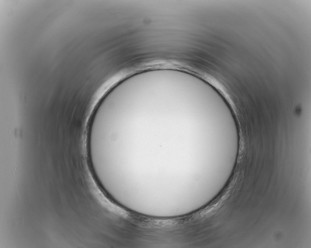 X0000094191090200710260949