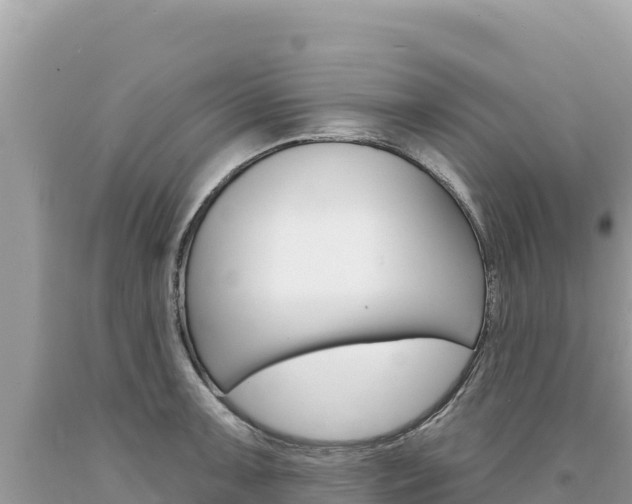 X0000094191091200710260949