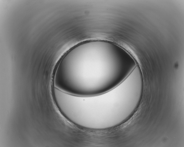 X0000094191093200710260949