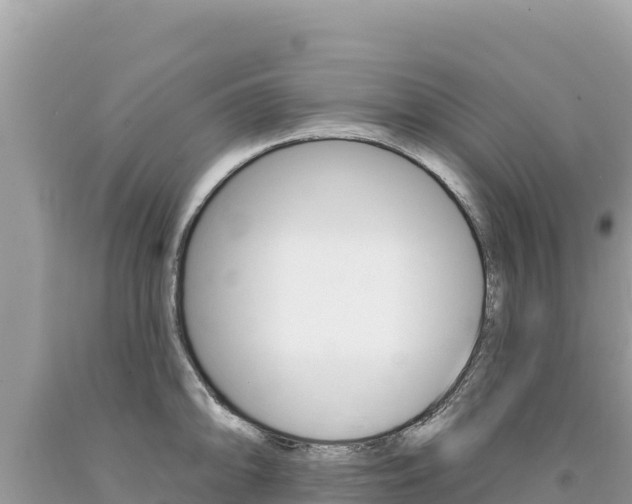 X0000094191094200710260949