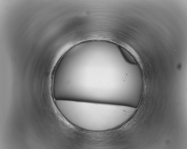 X0000094191096200710260949