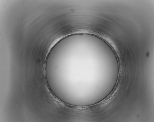 X0000094191097200710260949