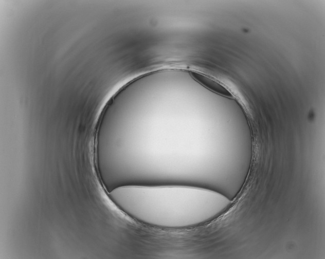 X0000094191100200710260949