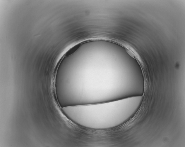 X0000094191101200710260949