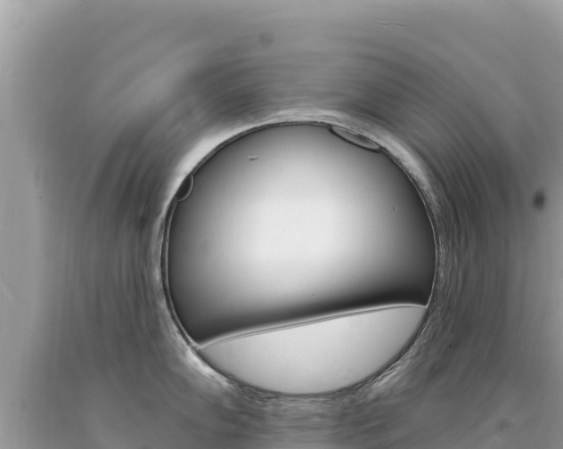 X0000094191102200710260949