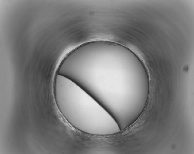 X0000094191104200710260949