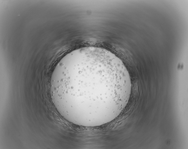 X0000094191105200710260948