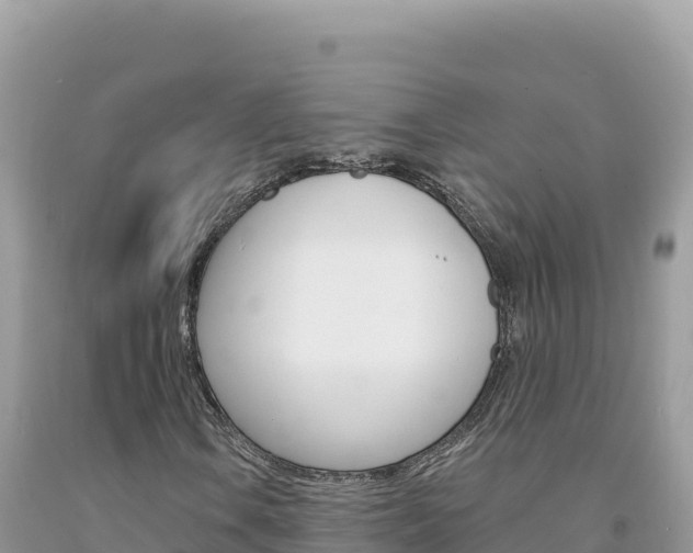 X0000094191106200710260948
