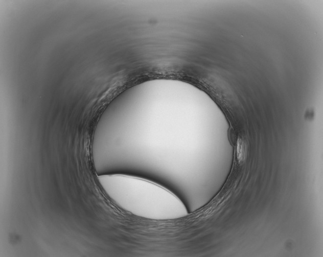 X0000094191107200710260948