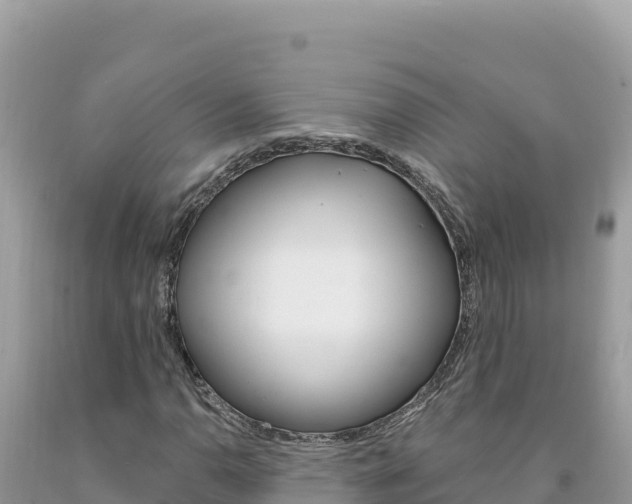 X0000094191110200710260948