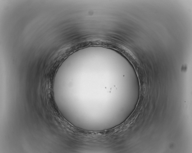 X0000094191111200710260948