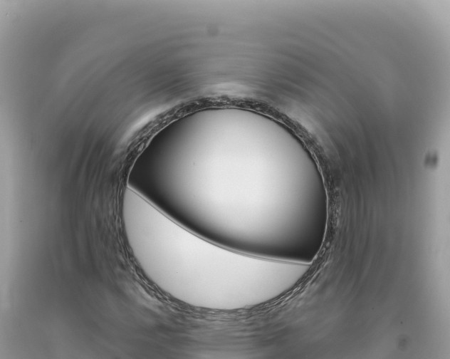 X0000094191112200710260948