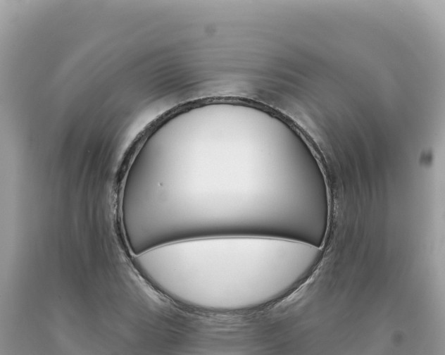 X0000094191119200710260948