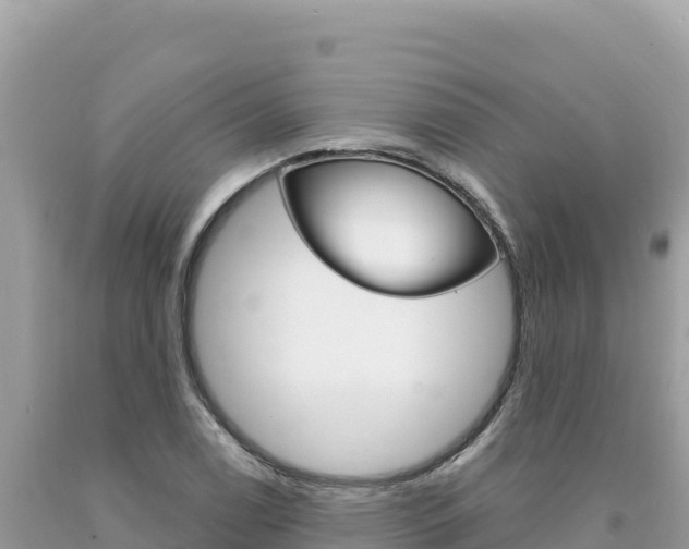 X0000094191122200710260948